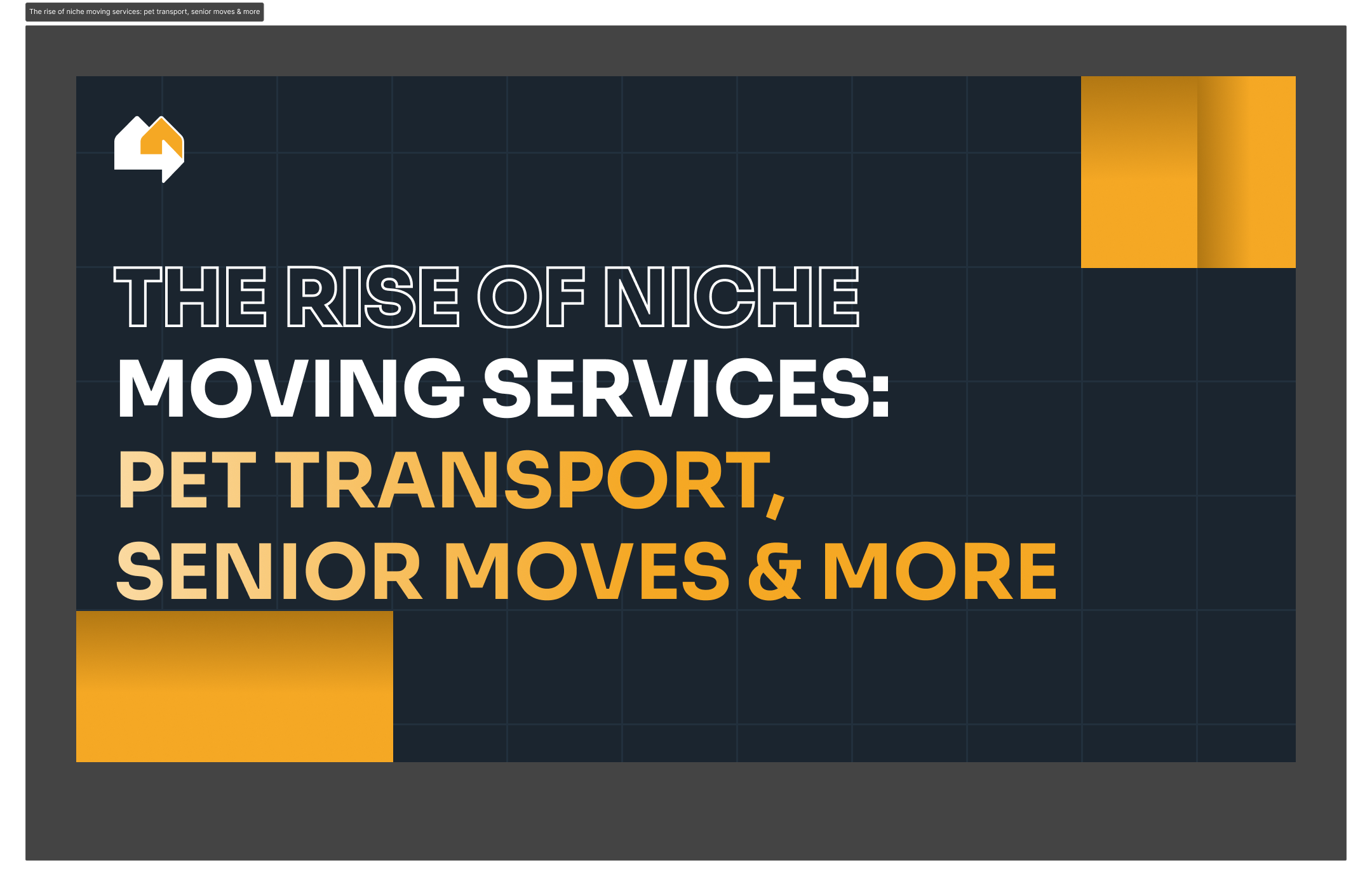 The rise of niche moving services: pet transport, senior moves & more